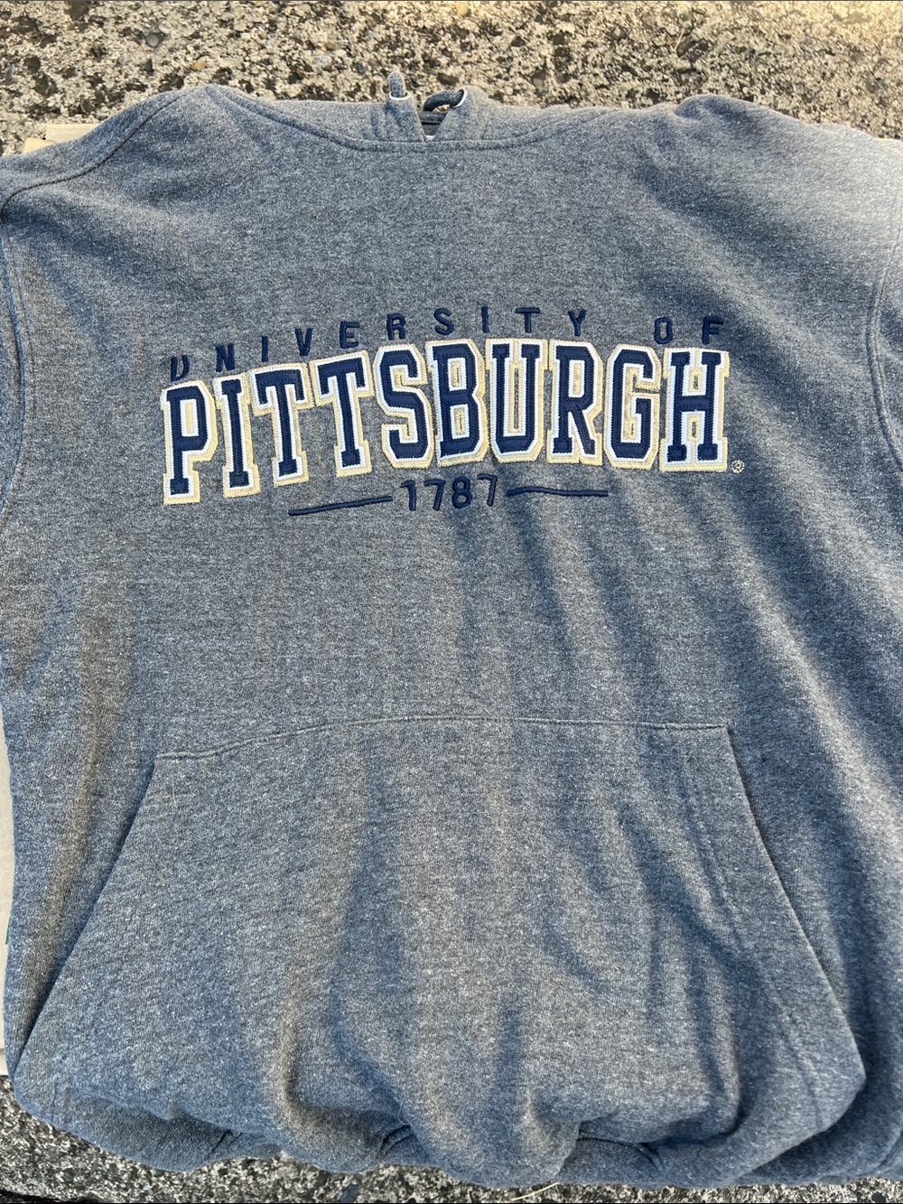 University of Pittsburgh Gray Hooded Sweatshirt - Size x small